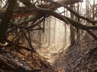 in der Wolfsschlucht